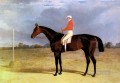 A Dark Bay Racehorse With Patrick Connolly Up Herring Snr John Frederick racehorse